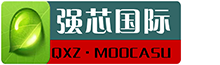 强芯国际集团logo